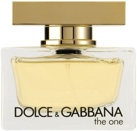 dolce gabbana the one mini|dolce gabbana the one 100ml.